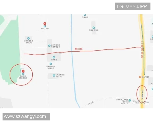 广州网球队与杭州网球队赛后战术分析与复盘探讨